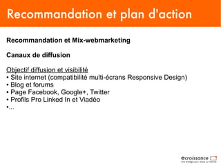 Recommandation et plan d'action
Recommandation et Mix-webmarketing

Canaux de diffusion

Objectif diffusion et visibilité
● Site internet (compatibilité multi-écrans Responsive Design)

● Blog et forums

● Page Facebook, Google+, Twitter

● Profils Pro Linked In et Viadéo

●...
 