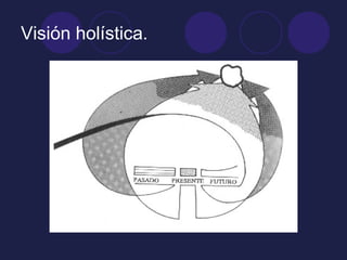 Visión holística.
 