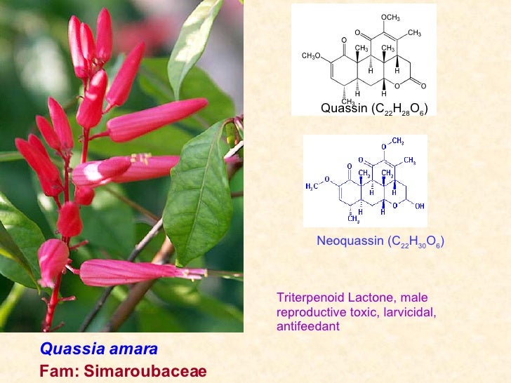 Prospectives Of Plant Products In Sustainable Development