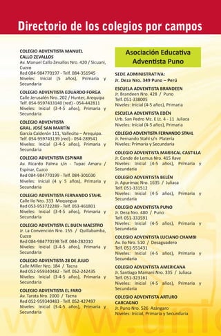 Prospecto Educativo UPSUR 2009