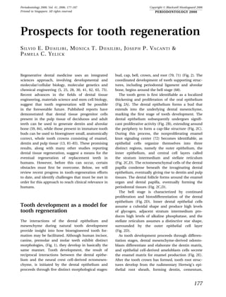 Periodontology 2000, Vol. 41, 2006, 177–187                                    Copyright Ó Blackwell Munksgaard 2006
Printed in Singapore. All rights reserved                                          PERIODONTOLOGY 2000




Prospects for tooth regeneration
S I L V I O E. D U A I L I B I , M O N I C A T. D U A I L I B I , J O S E P H P. V A C A N T I &
P A M E L A C. Y E L I C K


Regenerative dental medicine uses an integrated           bud, cap, bell, crown, and root (70, 71) (Fig. 2). The
sciences approach, involving developmental and            coordinated development of tooth supporting struc-
molecular/cellular biology, molecular genetics and        tures, including periodontal ligament and alveolar
chemical engineering (5, 25, 28, 30, 41, 62, 65, 75).     bone, begins around the bell stage (68).
Recent advances in the ﬁelds of dental tissue                The tooth germ is ﬁrst identiﬁable as a localized
engineering, materials science and stem cell biology,     thickening and proliferation of the oral epithelium
suggest that tooth regeneration will be possible          (Fig. 2A). The dental epithelium forms a bud that
in the foreseeable future. Published reports have         extends into the underlying dental mesenchyme,
demonstrated that dental tissue progenitor cells          marking the ﬁrst stage of tooth development. The
present in the pulp tissue of deciduous and adult         dental epithelium subsequently undergoes signiﬁ-
teeth can be used to generate dentin and alveolar         cant proliferative activity (Fig. 2B), extending around
bone (59, 84), while those present in immature tooth      the periphery to form a cap-like structure (Fig. 2C).
buds can be used to bioengineer small, anatomically       During this process, the nonproliferating enamel
correct, whole tooth crowns consisting of enamel,         knot signaling center (72) becomes identiﬁable, as
dentin and pulp tissue (13, 81–83). These promising       epithelial cells organize themselves into three
results, along with many other studies reporting          distinct regions, namely the outer epithelium, the
dental tissue regeneration, suggest a means for the       inner epithelium, and central cell layers called
eventual regeneration of replacement teeth in             the stratum intermedium and stellate reticulum
humans. However, before this can occur, certain           (Fig. 2C,D). The ectomesenchymal cells of the dental
obstacles must ﬁrst be overcome. Below, we will           papilla condense beneath the invaginating dental
review recent progress in tooth-regeneration efforts      epithelium, eventually giving rise to dentin and pulp
to date, and identify challenges that must be met in      tissues. The dental follicle forms around the enamel
order for this approach to reach clinical relevance in    organ and dental papilla, eventually forming the
humans.                                                   periodontal tissues (Fig. 2C,D).
                                                             The bell stage is characterized by continued
                                                          proliferation and histodifferentiation of the dental
                                                          epithelium (Fig. 2D). Inner dental epithelial cells
Tooth development as a model for                          assume a cuboidal shape and produce high levels
tooth regeneration                                        of glycogen, adjacent stratum intermedium pro-
                                                          duces high levels of alkaline phosphatase, and the
The interactions of the dental epithelium and             stellate reticulum assumes a distinctive star shape,
mesenchyme during natural tooth development               surrounded by the outer epithelial cell layer
provide insight into how bioengineered tooth for-         (Fig. 2D).
mation may be facilitated. Although human incisor,           As tooth development proceeds through differen-
canine, premolar and molar teeth exhibit distinct         tiation stages, dental mesenchyme-derived odonto-
morphologies, (Fig. 1), they develop in basically the     blasts differentiate and elaborate the dentin matrix,
same manner. Tooth development, the result of             and epithelial cell-derived ameloblasts cells secrete
reciprocal interactions between the dental epithe-        the enamel matrix for enamel production (Fig. 2E).
lium and the neural crest cell-derived ectomesen-         After the tooth crown has formed, tooth root struc-
chyme, is initiated by the dental epithelium and          tures develop from the rudimentary Hertwig’s epi-
proceeds through ﬁve distinct morphological stages:       thelial root sheath, forming dentin, cementum,



                                                                                                              177
 