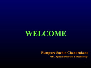 11
WELCOME
Ekatpure Sachin Chandrakant
MSc. Agricultural Plant Biotechnology
 
