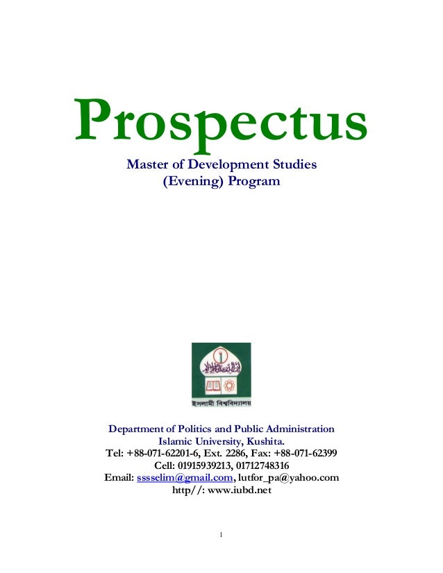 Dissertation prospectus english