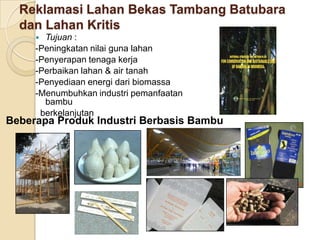 Reklamasi Lahan Bekas Tambang Batubara
  dan Lahan Kritis
      Tujuan :
     -Peningkatan nilai guna lahan
     -Penyerapan tenaga kerja
     -Perbaikan lahan & air tanah
     -Penyediaan energi dari biomassa
     -Menumbuhkan industri pemanfaatan
       bambu
      berkelanjutan
Beberapa Produk Industri Berbasis Bambu
 