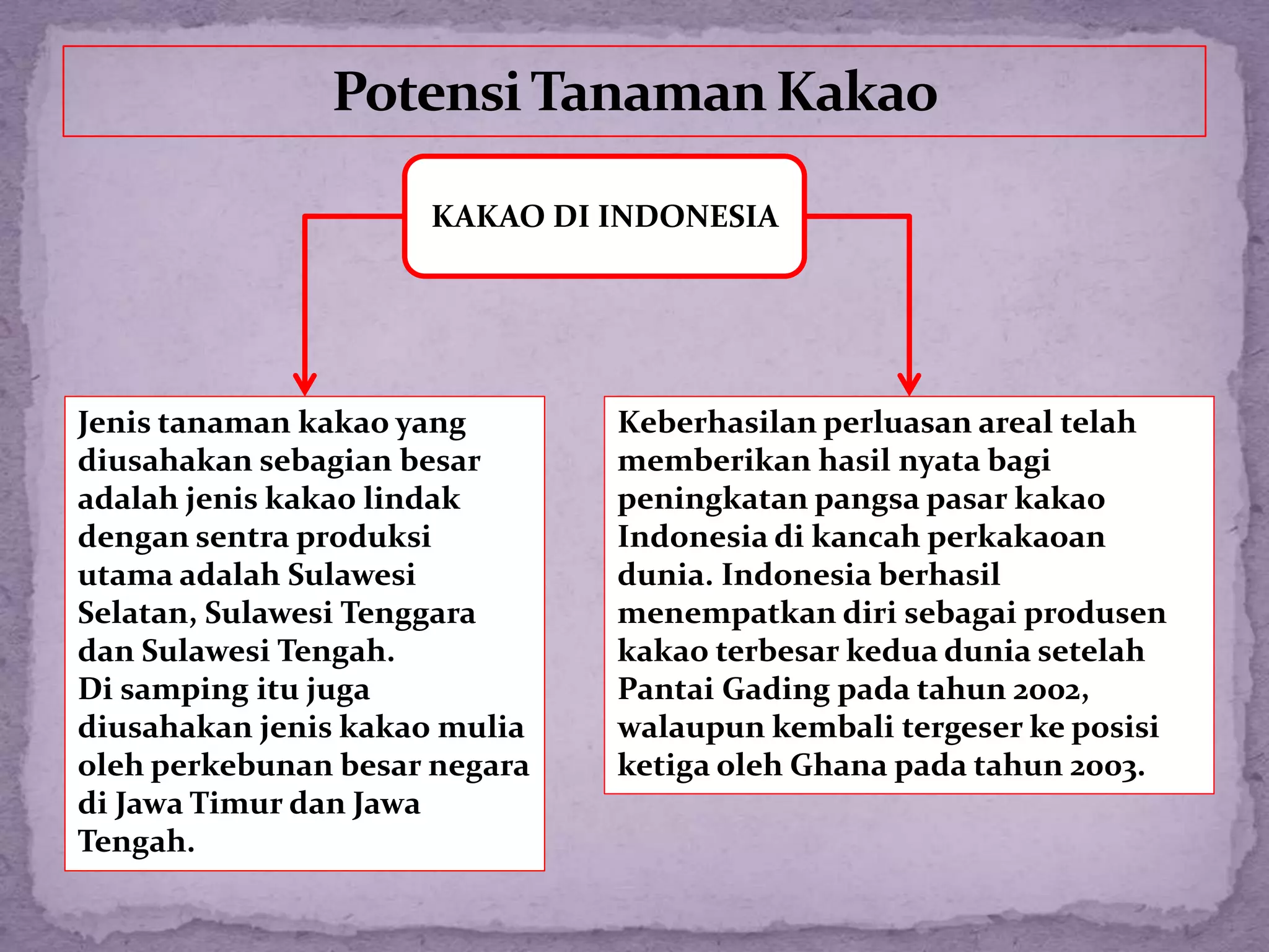 Prospek tanaman kakao di Indonesia | PPTX