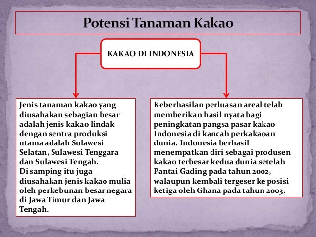 Prospek tanaman kakao di Indonesia Prospek tanaman kakao di Indonesia