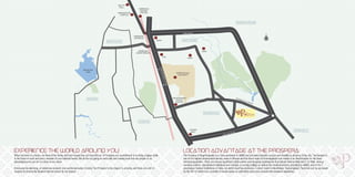 Amaltas - The Prospera 