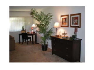 Pro staged homes portfolio book II