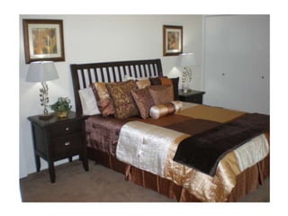 Pro staged homes portfolio book II