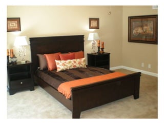 Pro staged homes portfolio book II