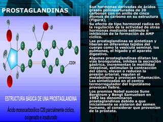 PROSTAGLANDINAS Son hormonas derivadas de ácidos grasos poliinsarturados de 20 carbonos con un anillo de cinco átomos de carbono en su estructura (Figura),  Su efecto de tipo hormonal radica en la regulación de la actividad de otras hormonas mediante estímulo o inhibición de la formación de AMP cíclico.  Las prostaglandinas se sintetizan y liberan en diferentes tejidos del cuerpo como la vesícula seminal, los pulmones, el hígado y el aparato digestivo.  Algunas prostaglandinas dilatan las vías bronquiales, inhíben la secreción gástrica, incrementan la motilidad intestinal, estimulan la contracción del útero, elevan o reducen la presión arterial, regulan el metabolismo y provocan inflamación. Las sintetizadas en el centro termorregulador del hipotálamo provocan fiebre.  Los premios Nobel suecos Sune Bergtrom y Bengt Samuelson en 1982 las denominaron prostaglandinas debido a que inicialmente se aislaron del semen humano, al considerar que provenían de la próstata.   