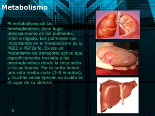 Metabolismo  El metabolismo de las prostaglandinas tiene lugar principalmente en los pulmones, riñón e hígado. Los pulmones son importantes en el metabolismo de la PGE2 y PGF2alfa. Existe un mecanismo de transporte activo que específicamente traslada a las prostaglandinas desde la circulación a los pulmones. Por lo tanto tienen una vida media corta (3-5 minutos), y muchas veces ejercen su acción en el lugar de su síntesis 