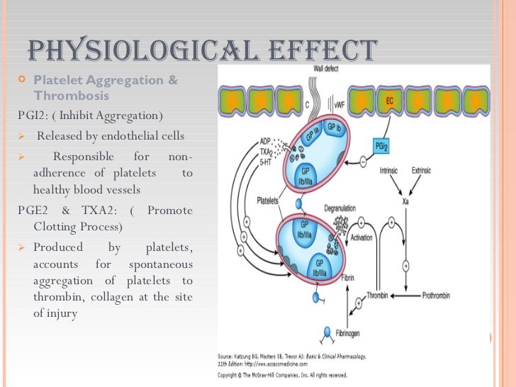 what are the physiological effects of prostaglandins