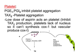 Pge1 Injection Prostaglandins | PPTX