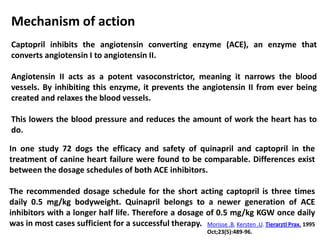 Mechanism of action
Captopril inhibits the angiotensin converting enzyme (ACE), an enzyme that
converts angiotensin I to angiotensin II.
Angiotensin II acts as a potent vasoconstrictor, meaning it narrows the blood
vessels. By inhibiting this enzyme, it prevents the angiotensin II from ever being
created and relaxes the blood vessels.
This lowers the blood pressure and reduces the amount of work the heart has to
do.
In one study 72 dogs the efficacy and safety of quinapril and captopril in the
treatment of canine heart failure were found to be comparable. Differences exist
between the dosage schedules of both ACE inhibitors.
The recommended dosage schedule for the short acting captopril is three times
daily 0.5 mg/kg bodyweight. Quinapril belongs to a newer generation of ACE
inhibitors with a longer half life. Therefore a dosage of 0.5 mg/kg KGW once daily
was in most cases sufficient for a successful therapy. Morisse .B, Kersten .U. Tierarztl Prax. 1995
Oct;23(5):489-96.
 