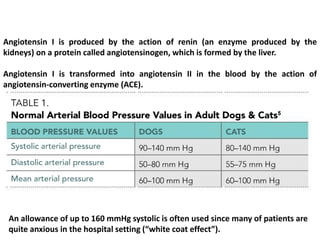 Angiotensin I is produced by the action of renin (an enzyme produced by the
kidneys) on a protein called angiotensinogen, which is formed by the liver.
Angiotensin I is transformed into angiotensin II in the blood by the action of
angiotensin-converting enzyme (ACE).
An allowance of up to 160 mmHg systolic is often used since many of patients are
quite anxious in the hospital setting (“white coat effect”).
 