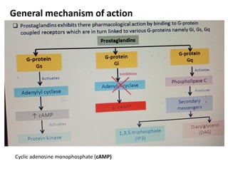 General mechanism of action
Cyclic adenosine monophosphate (cAMP)
 