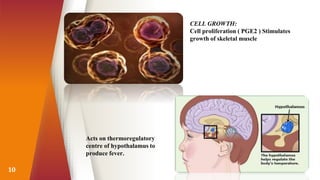 10
Acts on thermoregulatory
centre of hypothalamus to
produce fever.
CELL GROWTH:
Cell proliferation ( PGE2 ) Stimulates
growth of skeletal muscle
 