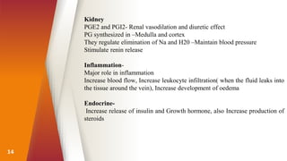 14
Kidney
PGE2 and PGI2- Renal vasodilation and diuretic effect
PG synthesized in –Medulla and cortex
They regulate elimination of Na and H20 –Maintain blood pressure
Stimulate renin release
Inflammation-
Major role in inflammation
Increase blood flow, Increase leukocyte infiltration( when the fluid leaks into
the tissue around the vein), Increase development of oedema
Endocrine-
Increase release of insulin and Growth hormone, also Increase production of
steroids
 