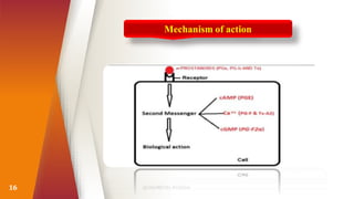 16
Mechanism of action
 