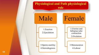 18
Physiological and Path physiological
role
Male
1.Erection
2.Ejaculation
3.Sperm motility
4.Steroidogensis
Female
1.Uterine and
fallopian tube
contraction
2.Ovulation
3.Mensturation
4.Labour
 