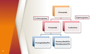 4
Eicosanoids
Prostanoids
Prostaglandins(PG)
Prostacyclins(PGI)
Thromboxanes(TX)
Leukotriens
Cyclooxygenase Lipooxygenase
 