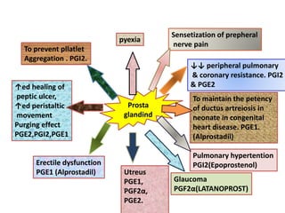 Pge1 Injection Prostaglandins.pptx.by dr fahad kgmc.... | PPT