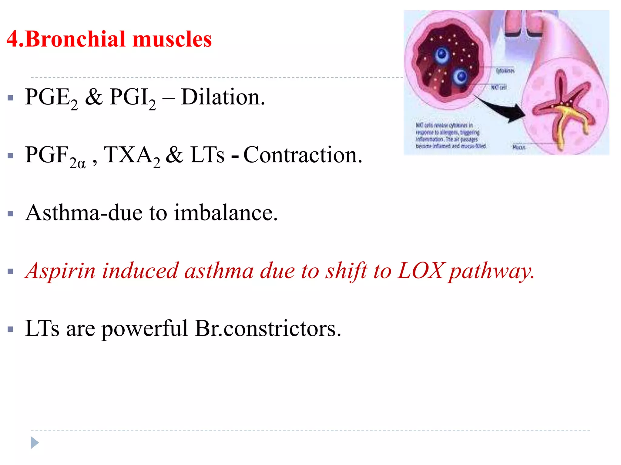 4.Bronchial muscles
 PGE2 & PGI2 – Dilation.
 PGF2α , TXA2 & LTs - Contraction.
 Asthma-due to imbalance.
 Aspirin induced asthma due to shift to LOX pathway.
 LTs are powerful Br.constrictors.
 
