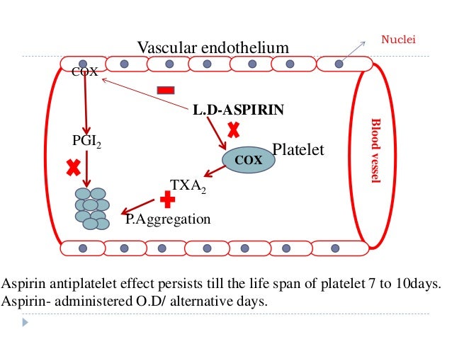 Prostaglandins And Leucotrienes Mani