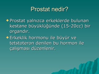 Prostat nedir? Prostat yalnızca erkeklerde bulunan kestane büyüklüğünde (15-20cc) bir organdır. Erkeklik hormonu ile büyür ve tetstoteron denilen bu hormon ile çalışması düzenlenir. 