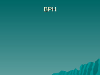 BPH 