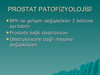 PROSTAT PATOFİZYOLOJİSİ BPH ile gelişen değişiklikler 2 bölüme ayrılabilir Prostata bağlı obstrüsiyon Obstrüksiyone bağlı mesane değişiklikleri 