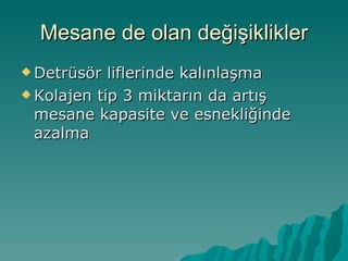 Mesane de olan değişiklikler Detrüsör liflerinde kalınlaşma  Kolajen tip 3 miktarın da artış mesane kapasite ve esnekliğinde azalma 