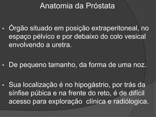 • Órgão situado em posição extraperitoneal, no
espaço pélvico e por debaixo do colo vesical
envolvendo a uretra.
• De pequeno tamanho, da forma de uma noz.
• Sua localização é no hipogástrio, por trás da
sínfise púbica e na frente do reto, é de difícil
acesso para exploração clínica e radiólogica.
Anatomia da Próstata
 