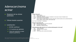 Adenocarcinoma
acinar
 Neoplasia de las células
epiteliales
 Células basales ausentes
 Localización:
 85-90% multifocal
 2-3 tumores por glándula
 Zona de transición o zona
anterior periferica
https://documents.cap.org/protocols/cp-malegenital-prostate-radicalprostatectomy-19-
4041.pdfhttps://documents.cap.org/protocols/cp-malegenital-prostate-radicalprostatectomy-19-4041.pdf
 