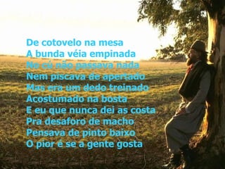 De cotovelo na mesa A bunda véia empinada No cú não passava nada Nem piscava de apertado Mas era um dedo treinado Acostumado na bosta E eu que nunca dei as costa Pra desaforo de macho Pensava de pinto baixo O pior é se a gente gosta 