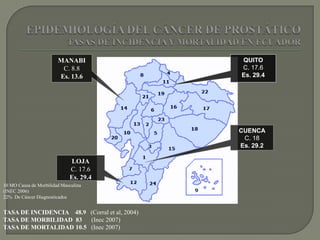 MANABI                 QUITO
                         C. 8.8                C. 17.6
                        Es. 13.6               Es. 29.4




                                               CUENCA
                                                C. 18
                                               Es. 29.2

                             LOJA
                             C. 17.6
                             Es. 29.4
10 MO Causa de Morbilidad Masculina
(INEC 2006)
22% De Cáncer Diagnosticados


TASA DE INCIDENCIA 48.9 (Corral et al, 2004)
TASA DE MORBILIDAD 83 (Inec 2007)
TASA DE MORTALIDAD 10.5 (Inec 2007)
 