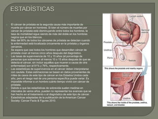    El cáncer de próstata es la segunda causa más importante de
    muerte por cáncer en hombres. Si bien el número de muertes por
    cáncer de próstata está disminuyendo entre todos los hombres, la
    tasa de mortalidad sigue siendo de más del doble en los hombres
    negros que en los blancos.
   Más del 90% de todos los cánceres de próstata se detectan cuando
    la enfermedad está localizada únicamente en la próstata y órganos
    cercanos.
   Se espera que casi todos los hombres que desarrollan cáncer de
    próstata vivan al menos cinco años después del diagnóstico.
   Las tasas de supervivencia de 10 y 15 años (el porcentaje de
    personas que sobreviven al menos 10 o 15 años después de que se
    detecta el cáncer, sin incluir aquéllos que mueren a causa de otra
    enfermedad) son el 91% y 76%, respectivamente.
   Las estadísticas de supervivencia en el cáncer deben interpretarse
    con cautela. Estas estimaciones se basan en datos provenientes de
    miles de casos de este tipo de cáncer en los Estados Unidos cada
    año, pero el riesgo real de una persona específica puede variar. Es
    imposible informar a un hombre cuánto tiempo vivirá con cáncer de
    próstata.
   Debido a que las estadísticas de sobrevida suelen medirse en
    intervalos de varios años, pueden no representar los avances que se
    han hecho en el tratamiento o el diagnóstico de este tipo de cáncer.
   Estadísticas adaptadas de la publicación de la American Cancer
    Society: Cancer Facts & Figures 2010.
 