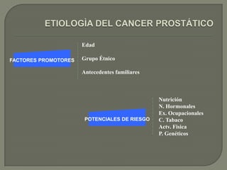 Edad

FACTORES PROMOTORES   Grupo Étnico

                      Antecedentes familiares



                                                Nutrición
                                                N. Hormonales
                                                Ex. Ocupacionales
                       POTENCIALES DE RIESGO    C. Tabaco
                                                Actv. Fisica
                                                P. Genéticos
 