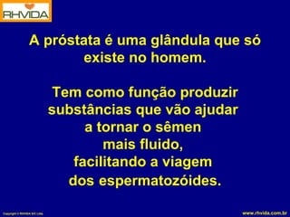 A próstata é uma glândula que só existe no homem. Tem como função produzir substâncias que vão ajudar  a tornar o sêmen  mais fluido,  facilitando a viagem  dos   espermatozóides. 
