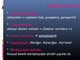 DOĞAL SEYİR
 Lenfatik metastaz:

obturator >> common iliak, presakral, paraaortik
 Uzak metastaz:

aksiyal iskelet sistemi >> (lomber vertabra >>)
 Kemik metastazı  osteoblastik
 Visseral met: Akciğer, Karaciğer, Sürrenal
 Merkezi sinir sistemi:

Kranial kemik metastazdan direkt yayılım ile

 