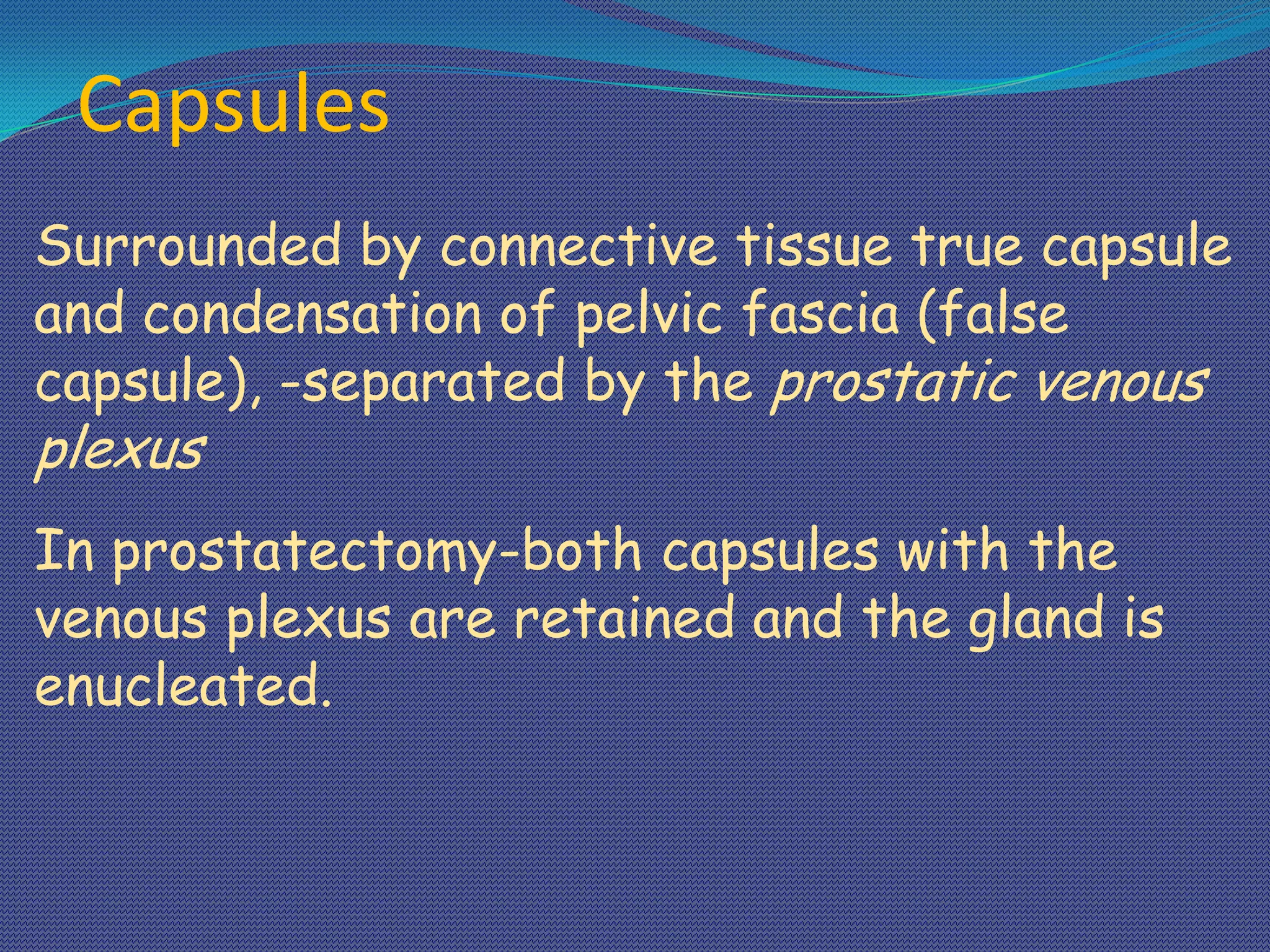 Surgical Anatomy of Prostate | PPTX