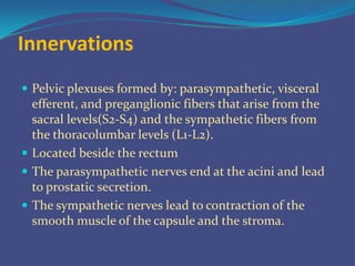 Surgical Anatomy of Prostate | PPTX