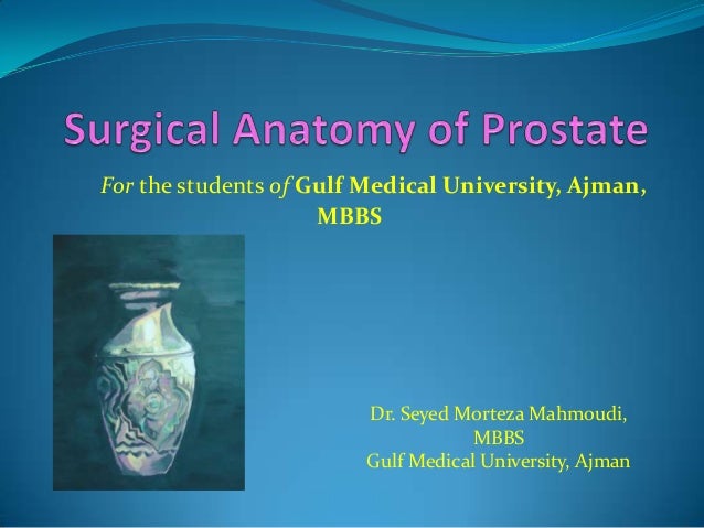 Surgical Anatomy Of Prostate