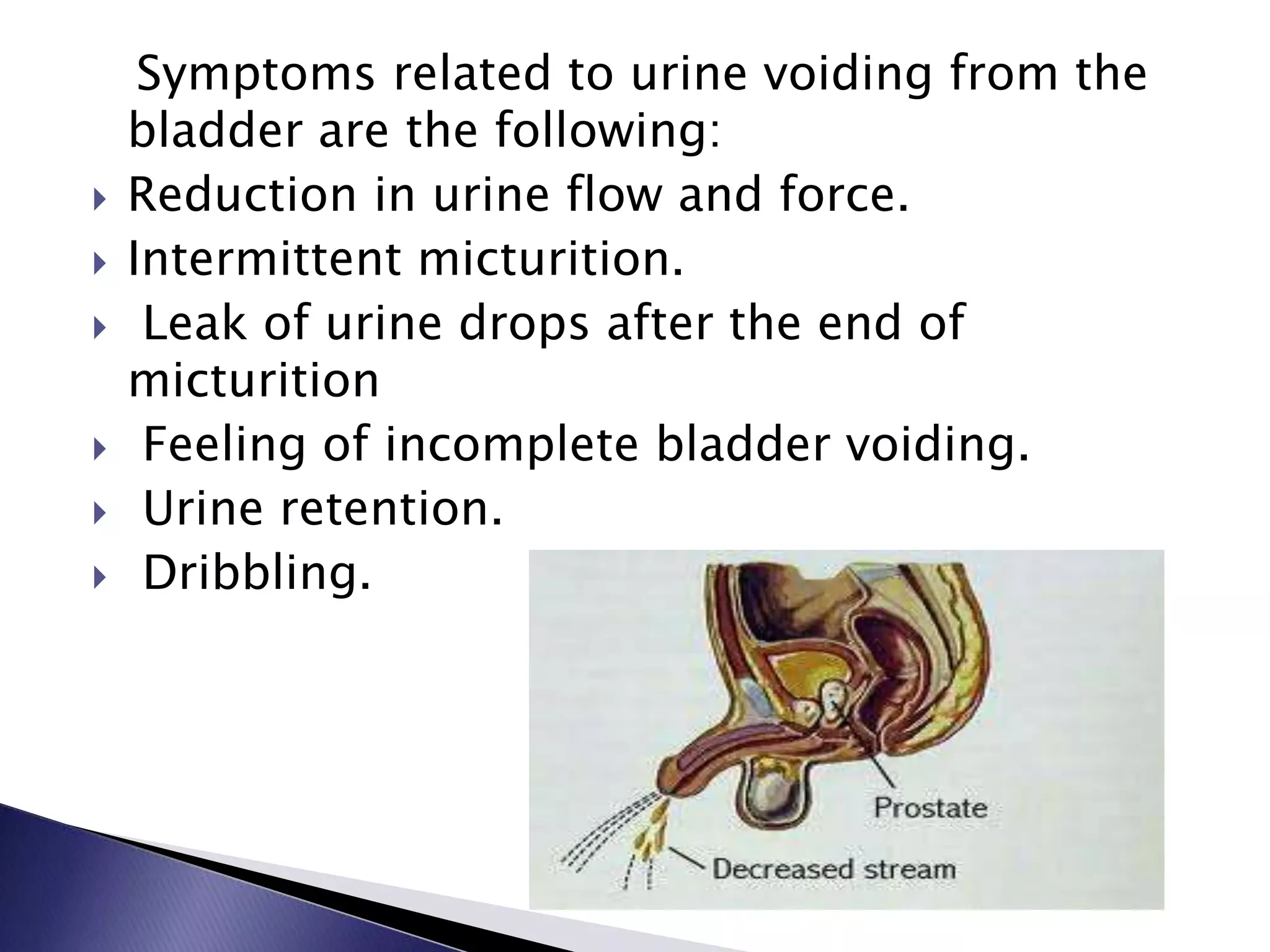 Symptoms related to urine voiding from the
bladder are the following:
 Reduction in urine flow and force.
 Intermittent micturition.
 Leak of urine drops after the end of
micturition
 Feeling of incomplete bladder voiding.
 Urine retention.
 Dribbling.
 