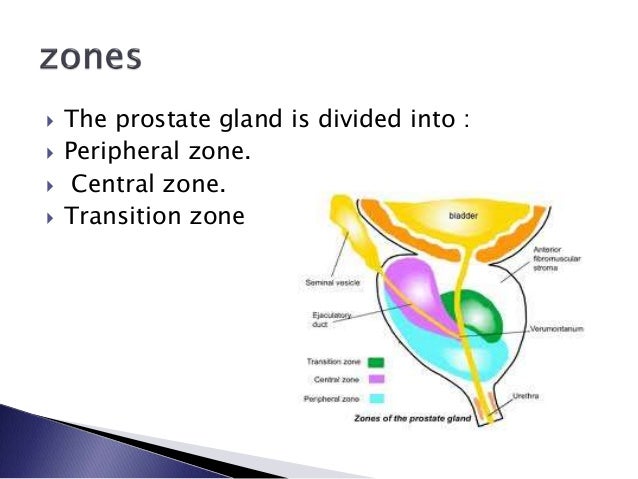SEARCH AND BUY THIS PRODUCT Prostate