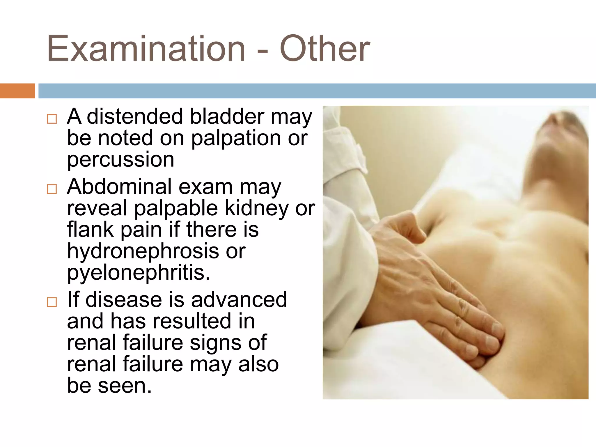Examination - Other
 A distended bladder may
be noted on palpation or
percussion
 Abdominal exam may
reveal palpable kidney or
flank pain if there is
hydronephrosis or
pyelonephritis.
 If disease is advanced
and has resulted in
renal failure signs of
renal failure may also
be seen.
 