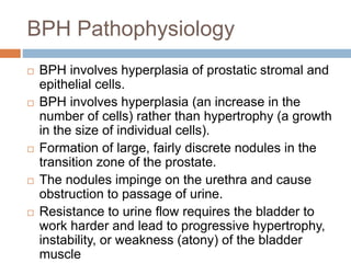 Flow Bph Prostate | PPTX
