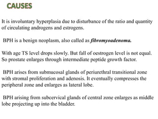 It is involuntary hyperplasia due to disturbance of the ratio and quantity
of circulating androgens and estrogens.
BPH is a benign neoplasm, also called as fibromyoadenoma.
With age TS level drops slowly. But fall of oestrogen level is not equal.
So prostate enlarges through intermediate peptide growth factor.
BPH arises from submucosal glands of periurethral transitional zone
with stromal proliferation and adenosis. It eventually compresses the
peripheral zone and enlarges as lateral lobe.
BPH arising from subcervical glands of central zone enlarges as middle
lobe projecting up into the bladder.
 