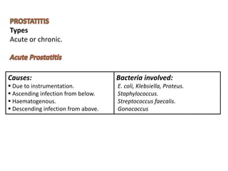 Prostate Anatomy,physiology & Pathology